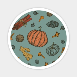 Pumpkin spice vintage colors Magnet